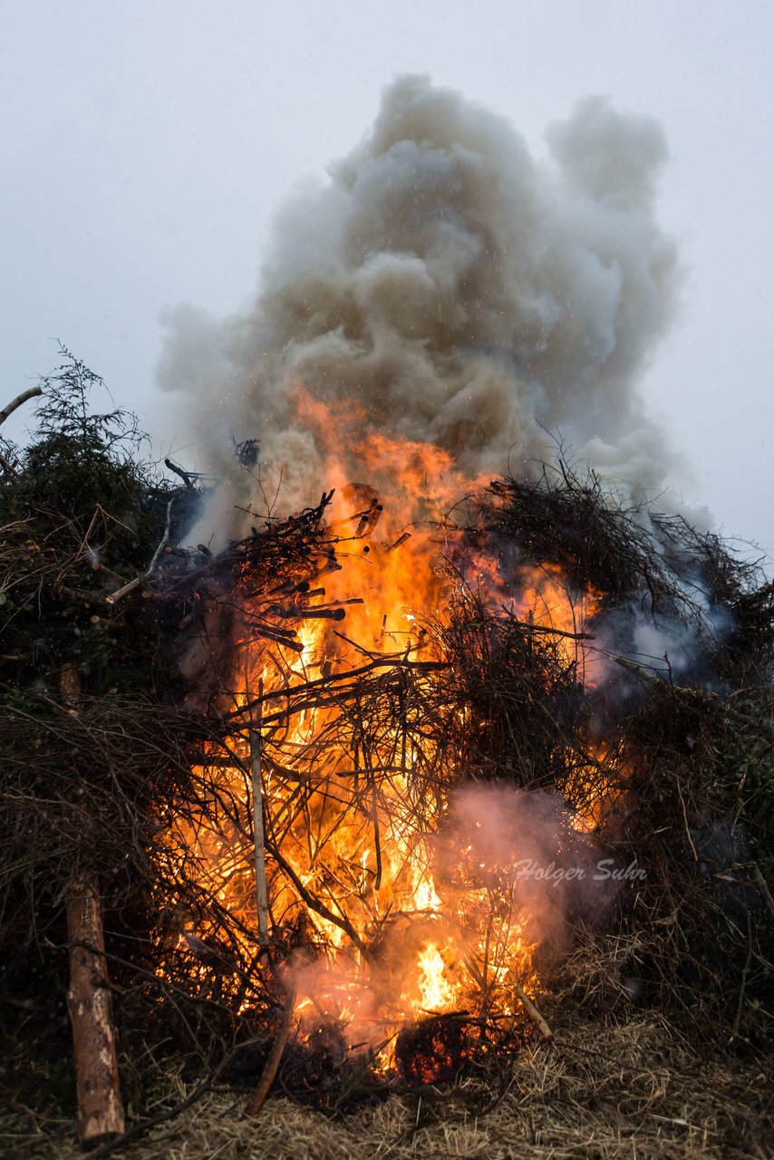 Bild 14 - Maibaum